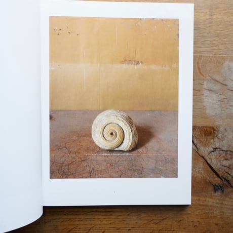 JOEL MEYEROWTZ MORANDI’S OBJECTS　[古書]