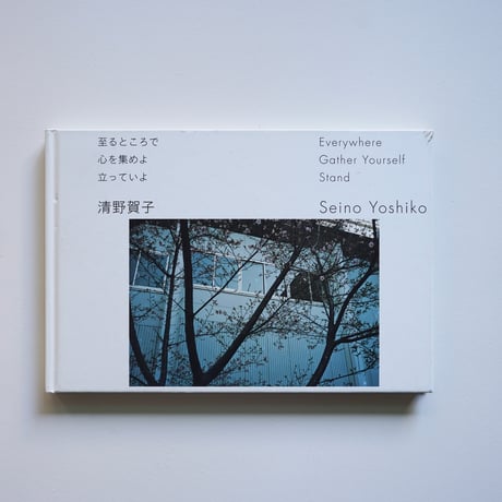 清野賀子 至るところで心を集めよ立っていよ Seiko Kiyono  Everywhere Gather Yourself Stand [古書]