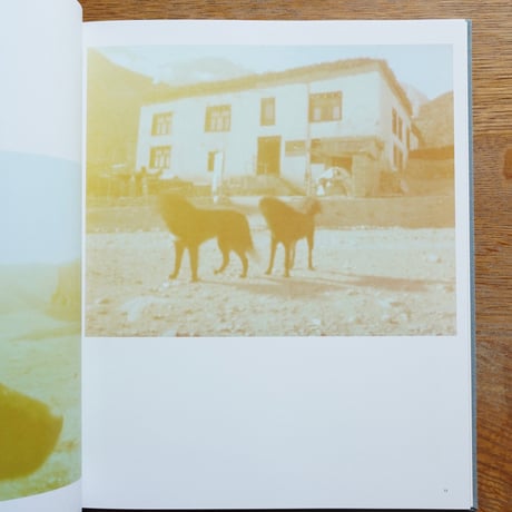 山西もも Momo Yamanishi  The Light / Mustang 光の王国
