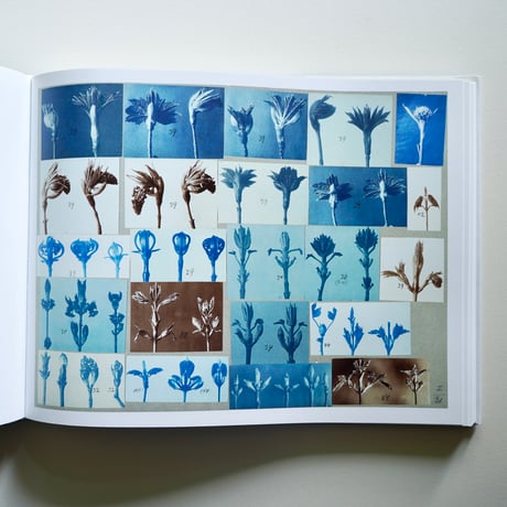 KARL BLOSSEFELDT WORKING COLLEGES [古書]