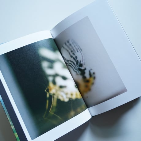 Yushi Arimura  Ambient Reflections