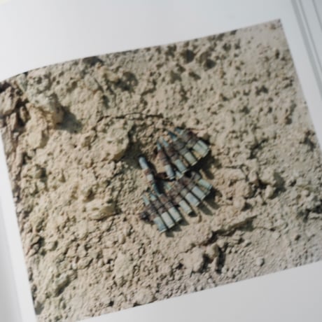 Stephen Shore - From Galilee to the Negev (古書)