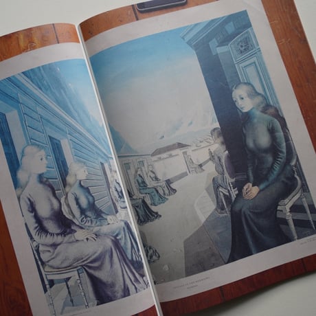 Mark Manders, Roger Willems / The Images of Luis Barragán