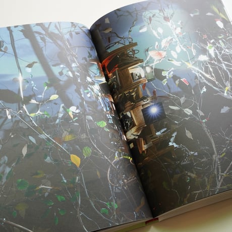 Sarah Sze - SARAH SZE