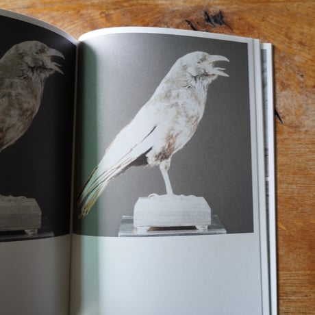 Anne Geene & Arjan De Nooy　Ornithology