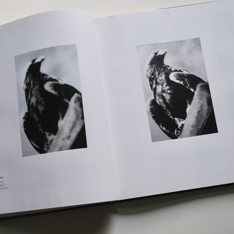 Gerhard Richter カタログレゾネ3冊セット　(古書)
