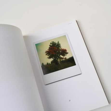 Instant Light : Tarkovsky Polaroids - Andrey Tarkovsky (古書）