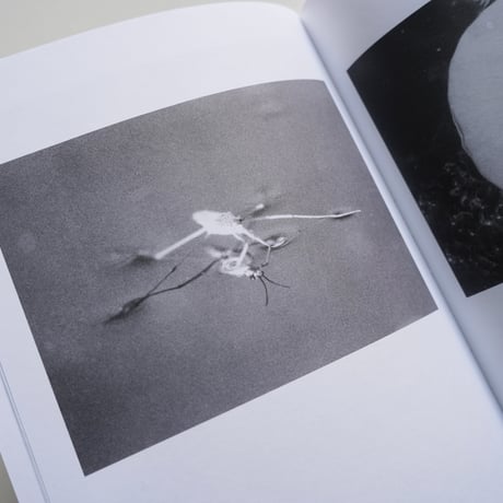 Jochen Lempert - Local Ecology MOULIN DES RIBES
