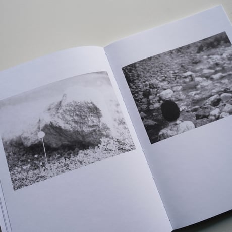 Jochen Lempert - Local Ecology MOULIN DES RIBES