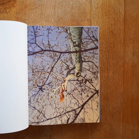Ryan Mcginley