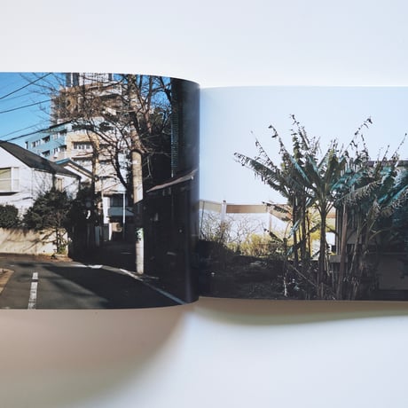 清野賀子 至るところで心を集めよ立っていよ Seiko Kiyono  Everywhere Gather Yourself Stand [古書]