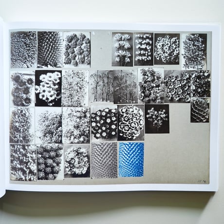 KARL BLOSSEFELDT WORKING COLLEGES [古書]