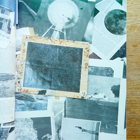Vija Celmins