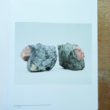 Vija Celmins