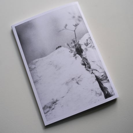 Jochen Lempert - Local Ecology MOULIN DES RIBES