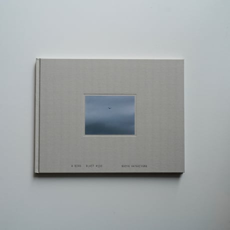 畠山直哉 Naoya Hatakeyama - A BIRD blast #130