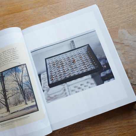 Alec Soth  GATHERED LEAVES ANNOTATED