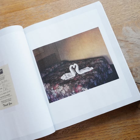 Alec Soth  GATHERED LEAVES ANNOTATED