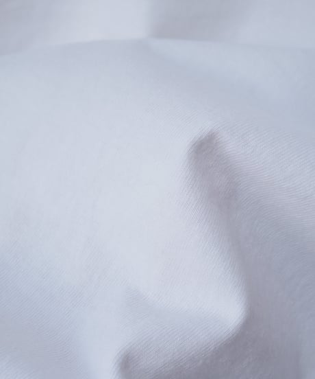 ハブアグッドデイ【have a good day】チューブラー　Tシャツ　ホワイト