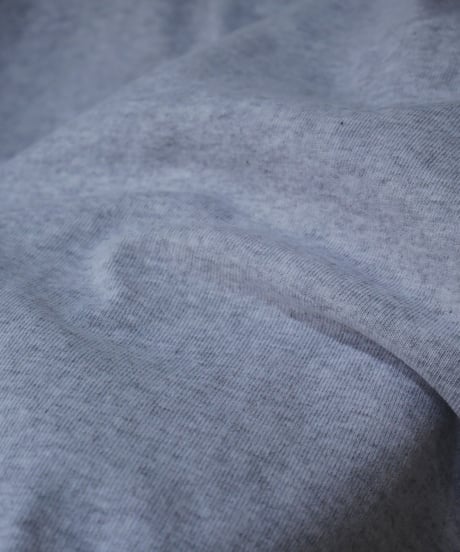 ハブアグッドデイ【have a good day】チューブラー　Tシャツ　グレー