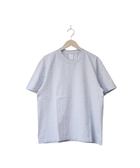 ハブアグッドデイ【have a good day】チューブラー　Tシャツ　グレー