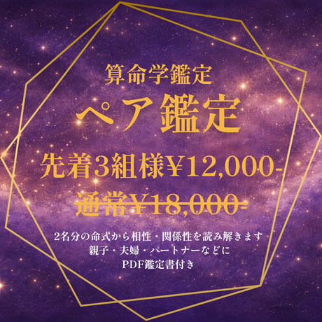 【ocean様ご予約品です】算命学教材【職業選びについて】【因縁法】 算命学 | STORES