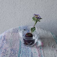 瓦石は針のない剣山になる【部品販売】