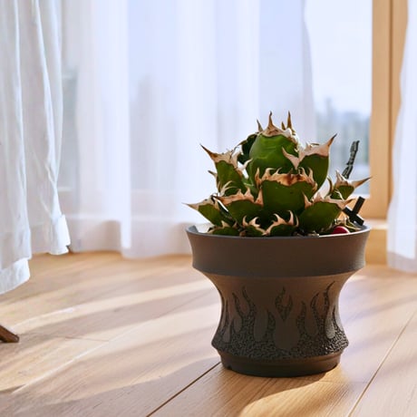 CATEGORY 植木鉢 | 3D PLANTER