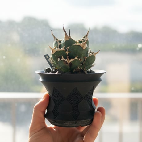 3D PLANTER
