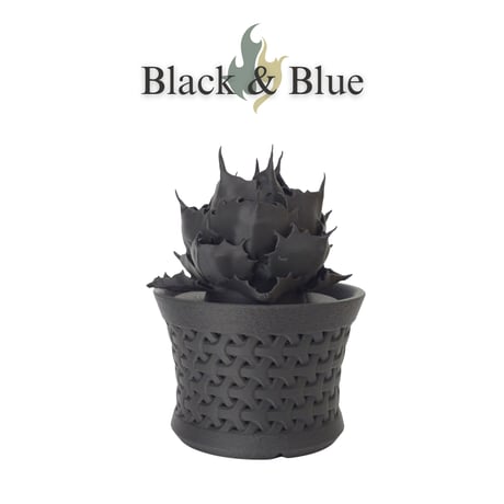 【Black & Blue】3Dプリントで再現したアガベフィギュア モダンインテリア向けフェイクグリーン
