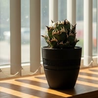 【Orbit】アガベ専用デザイン植木鉢。3Dプリントで軽量・通気性抜群の機能美鉢