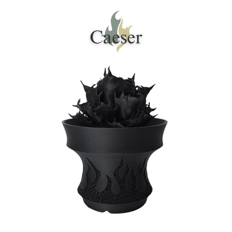 CATEGORY アガベ模型 | 3D PLANTER