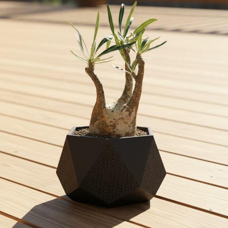 【Geometry】アガベ専用デザイン植木鉢。3Dプリントで軽量・通気性抜群の機能美鉢