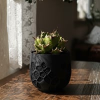 【Voronoi】アガベ専用デザイン植木鉢。3Dプリントで軽量・通気性抜群の機能美鉢