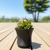 【Franken】アガベ専用デザイン植木鉢。3Dプリントで軽量・通気性抜群の機能美鉢