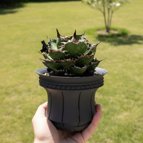 3D PLANTER