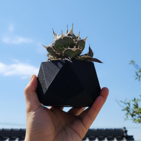 【Geometry】アガベ専用デザイン植木鉢。3Dプリントで軽量・通気性抜群の機能美鉢