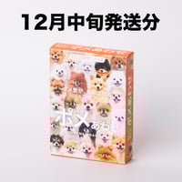 もふもふポメラニアンが大集合！【ポメあわせ】11月末〜順次発送