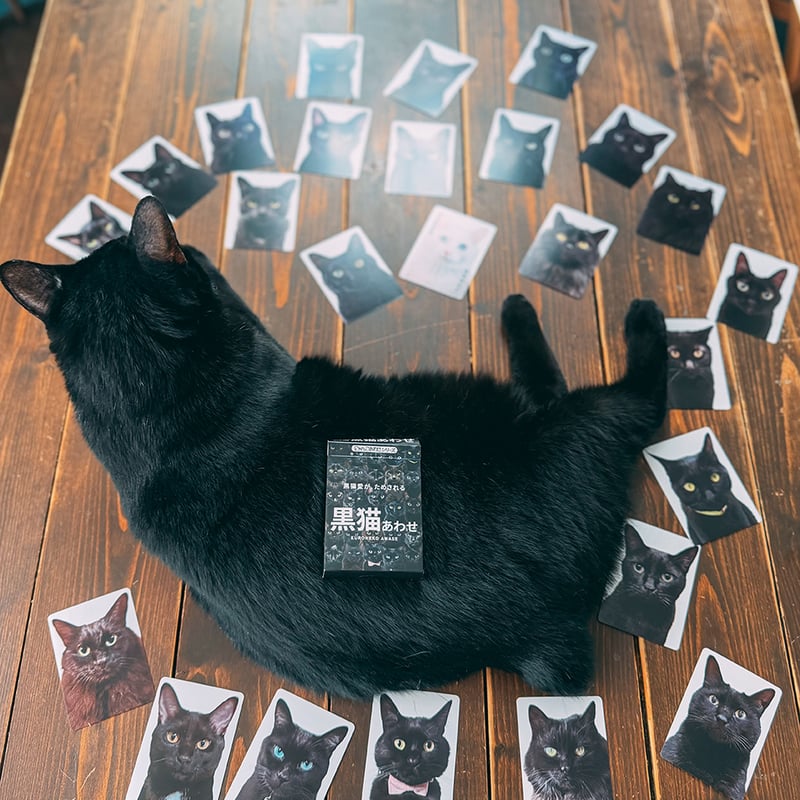 2月中旬発送分】難易度MAXのツンデレ仕様！【黒猫あわせ】 | わん