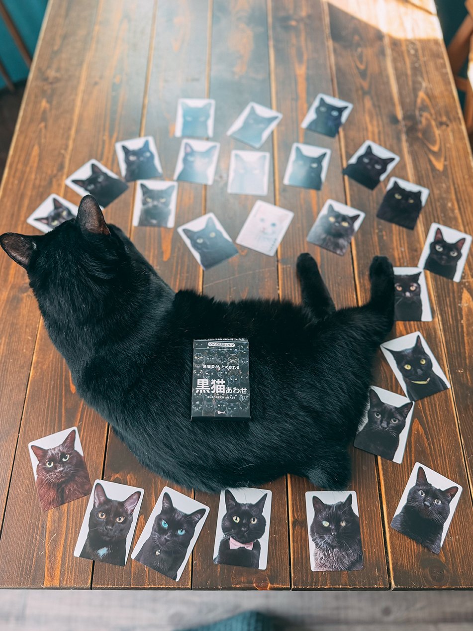 黒猫ページ fit=scale-down,w=1200