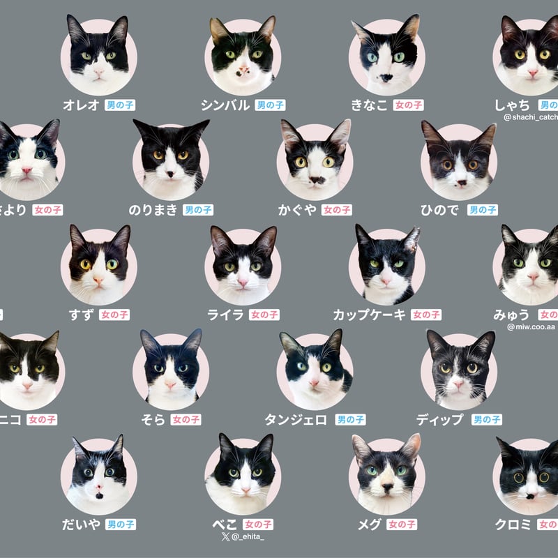 アイアンのネコ　猫　ホワイト&ブラック　セット ATC 白亜器の猫 フィギュアマスコット2 – ネイチャーテクニカラー公式
