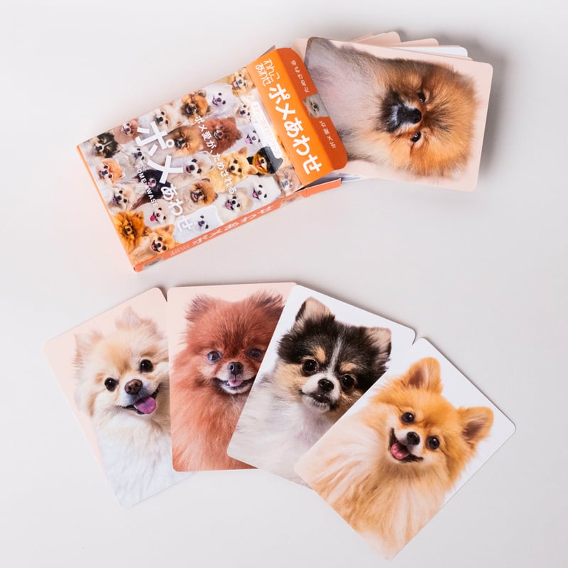 もふもふポメラニアンが大集合！【ポメあわせ】11月末〜順次発送