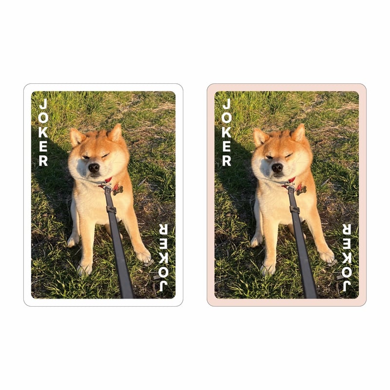 ☆受付☆柴犬 8月初旬発送分】王道にして至高【柴あわせ-あか-】 | わんにゃんあわせ