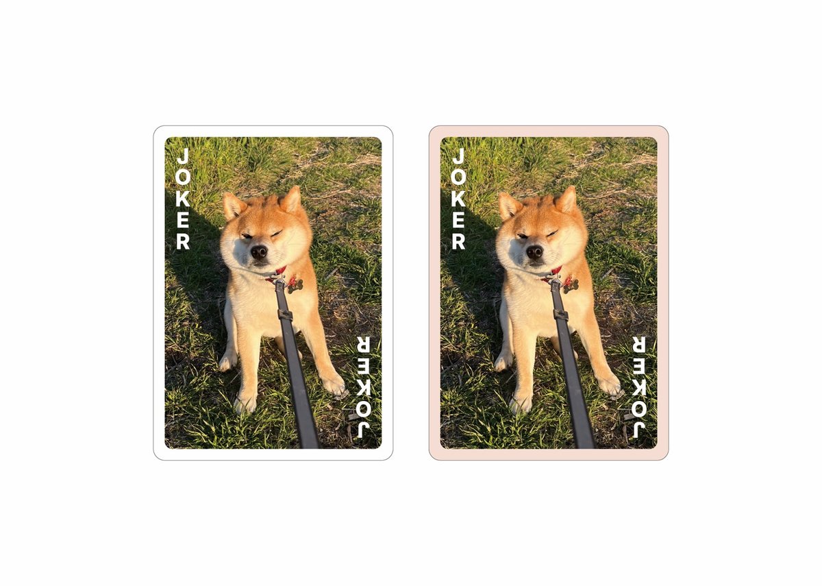 ☆受付☆柴犬 8月初旬発送分】王道にして至高【柴あわせ-あか-】 | わんにゃんあわせ