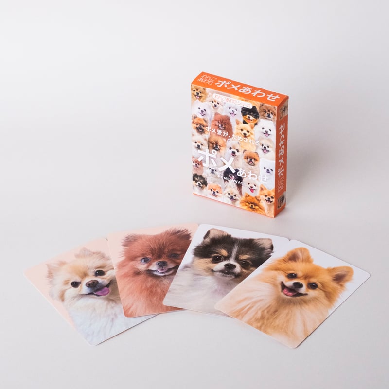 1月中旬発送分】もふもふポメラニアンが大集合！【ポメあわせ】 | わん