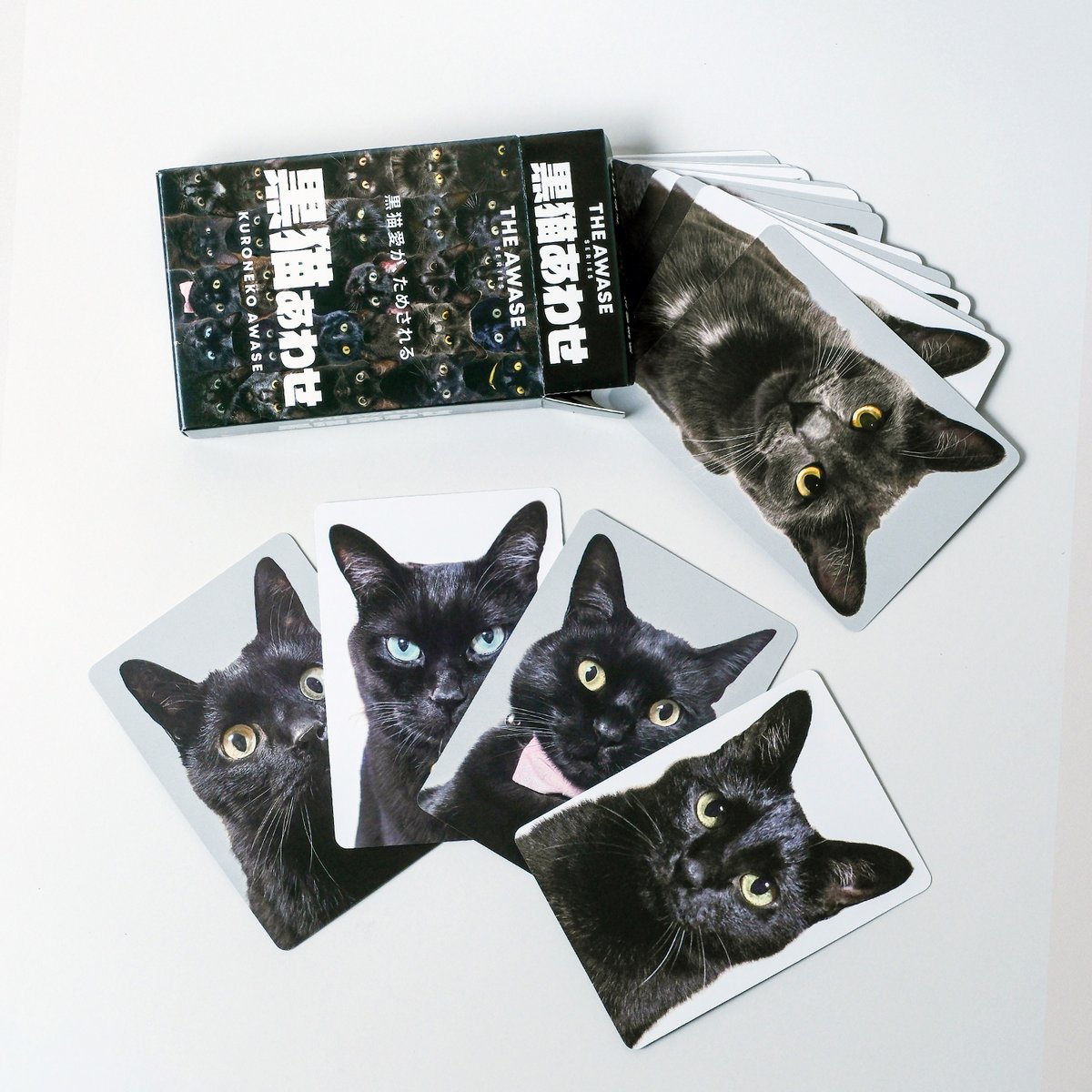 難易度MAXのツンデレ仕様！【黒猫あわせ】 | わんにゃんあわせ