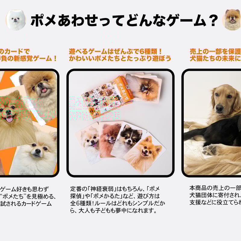 ポメ もふもふポメラニアンが大集合！【ポメあわせ】11月末〜順次発送