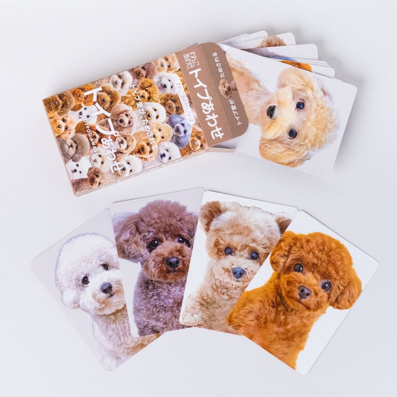 おちゃめでおしゃれな不動の人気者！【トイプあわせ】 | わんにゃんあわせ