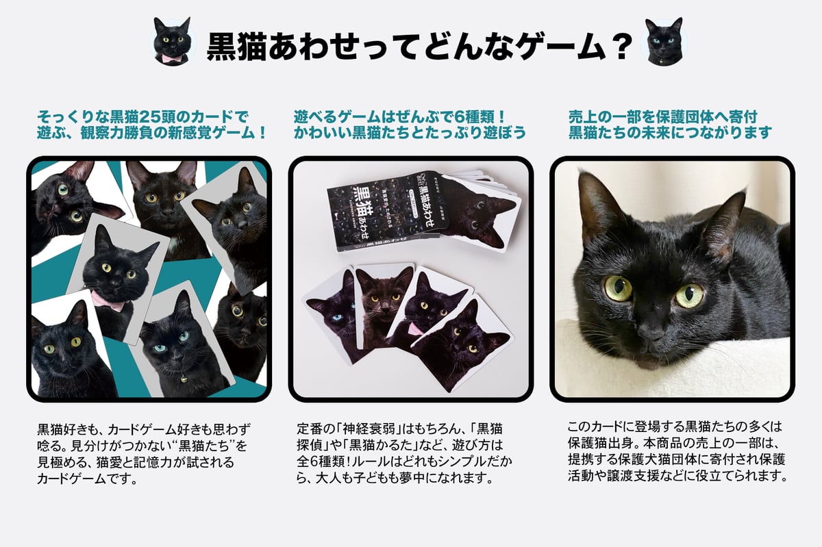 【黒猫】 2月中旬発送分】難易度MAXのツンデレ仕様！【黒猫あわせ】 | わん