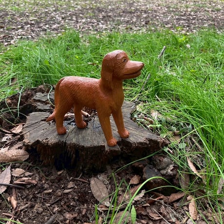 犬